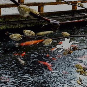 春の雨の俳句と季語