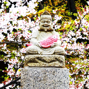 季語 桜鯛 さくらだい ネットで俳句 季語 桜鯛 さくらだい ネットで俳句